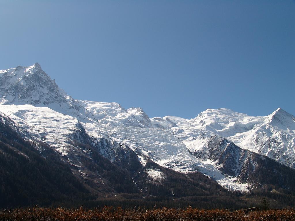 Les Glaciers - Appartement 1 Шамони Экстерьер фото